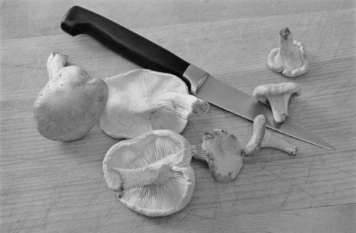 Cher-and-All-Others-6-10-134-6-of-8